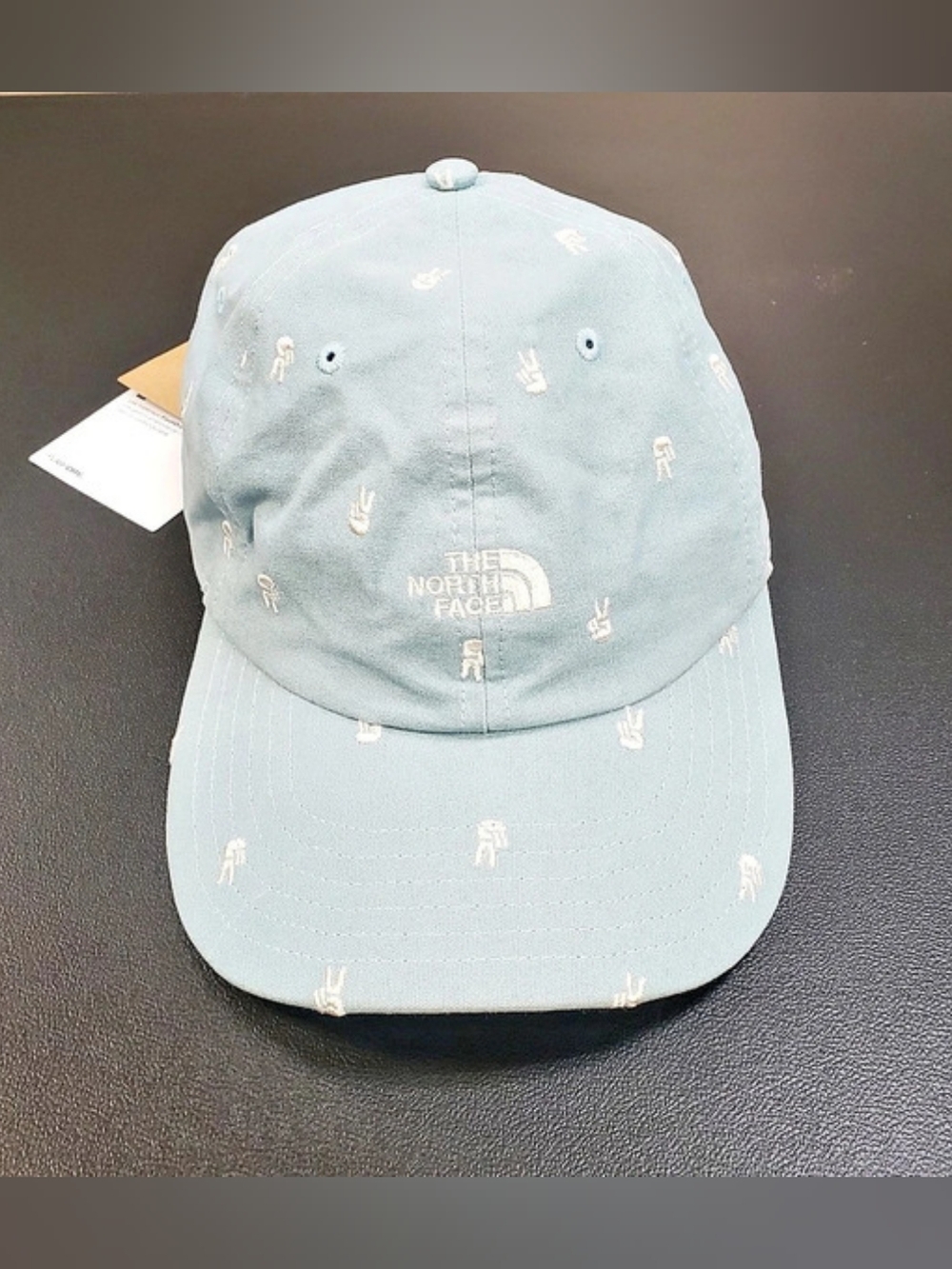 The North Face "Peace" Patterned Baseball Hat NWT in Blue